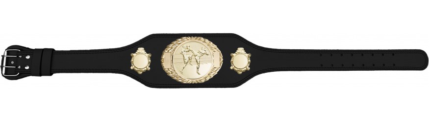 THAI BOXING CHAMPIONSHIP BELT-BUD295/G/TBOG-4 COLOURS